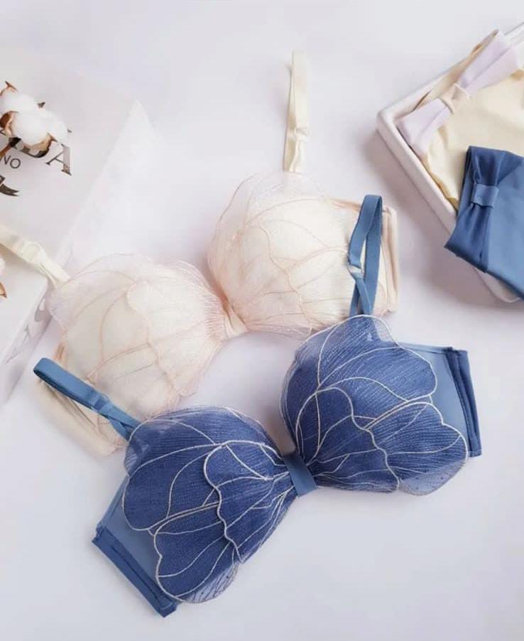 Organza Fancy Butterfly Strapless & Adjustable Bra Set